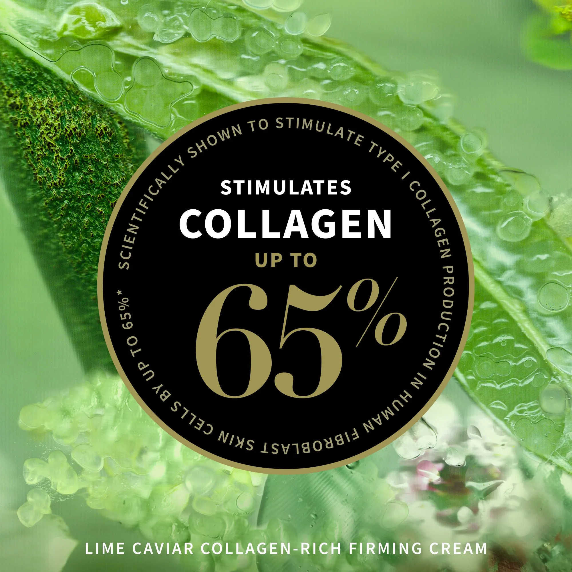 Anti-Ageing Results Set