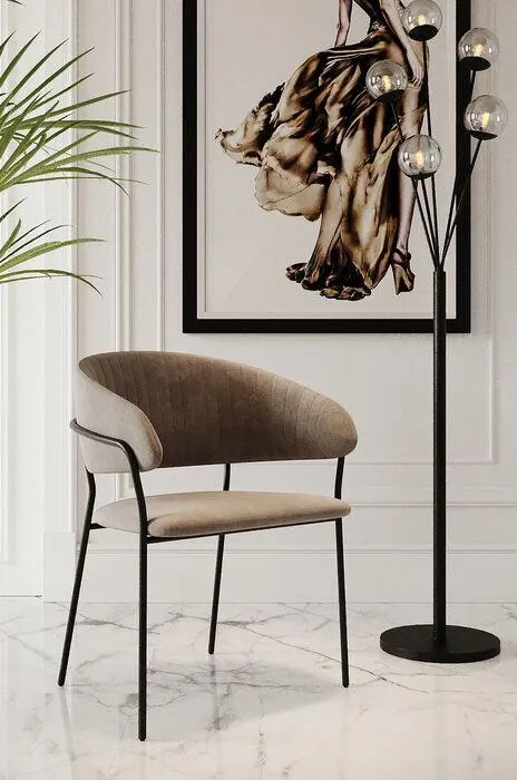 Belle Brown Velvet Chair with Armrest (2/Set)