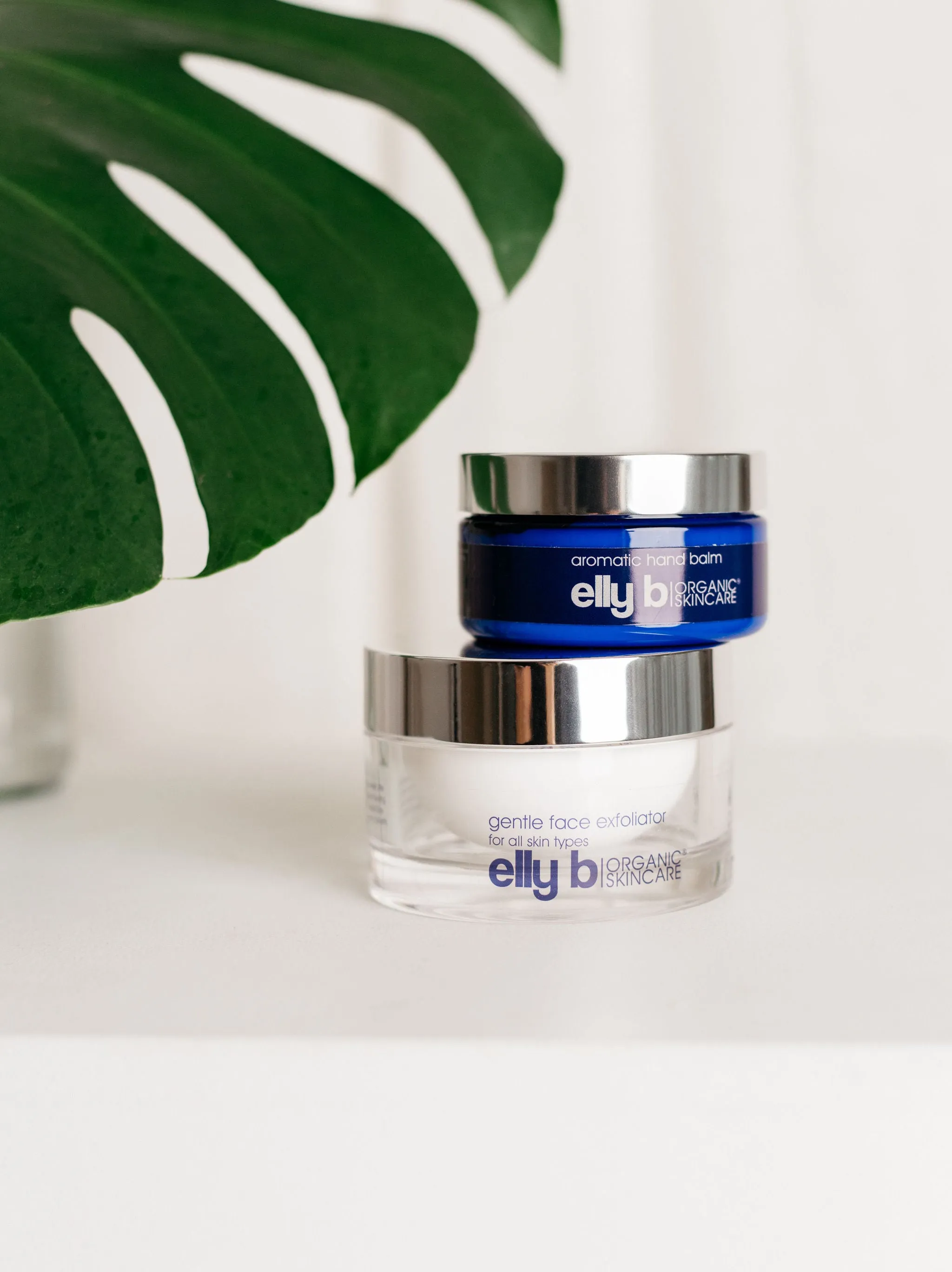 Gentle Face Exfoliator 100mls