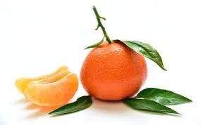 Mandarine Nova Essential Oil