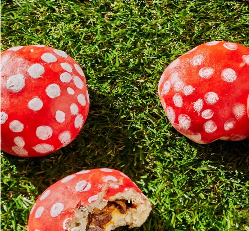 Mushrooms in the Middle: A Smallhold Cookbook