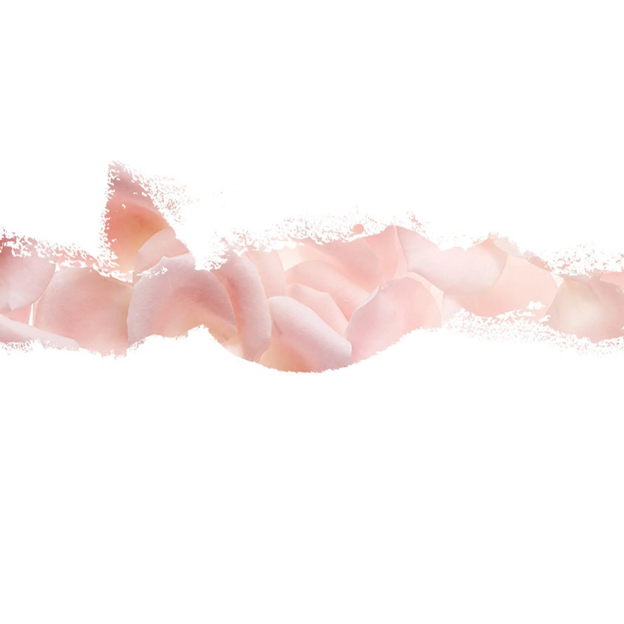 Nuxe Exfoliating Gel with Rose petals 2.5 oz.