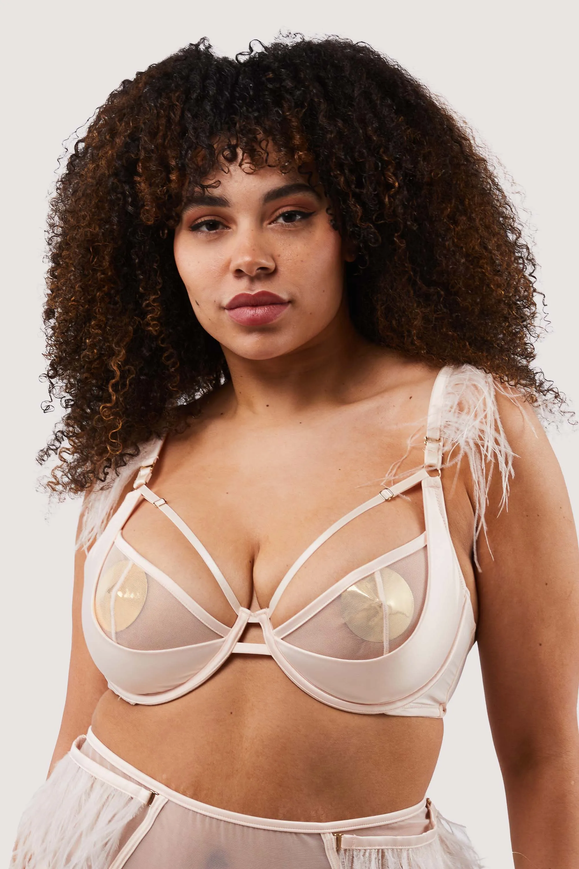 Phoenix Blush Mesh And Satin Feather Bra