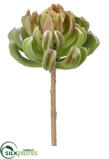 Silk Plants Direct Aeonium Spray - Burgundy Green - Pack of 4